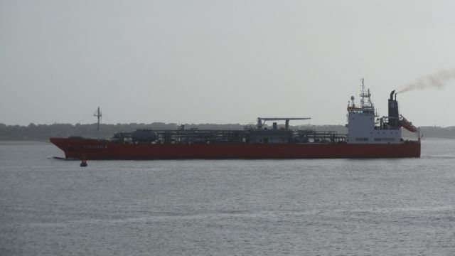 Pertusola - estuaire - 26 janvier 2013 (06).JPG